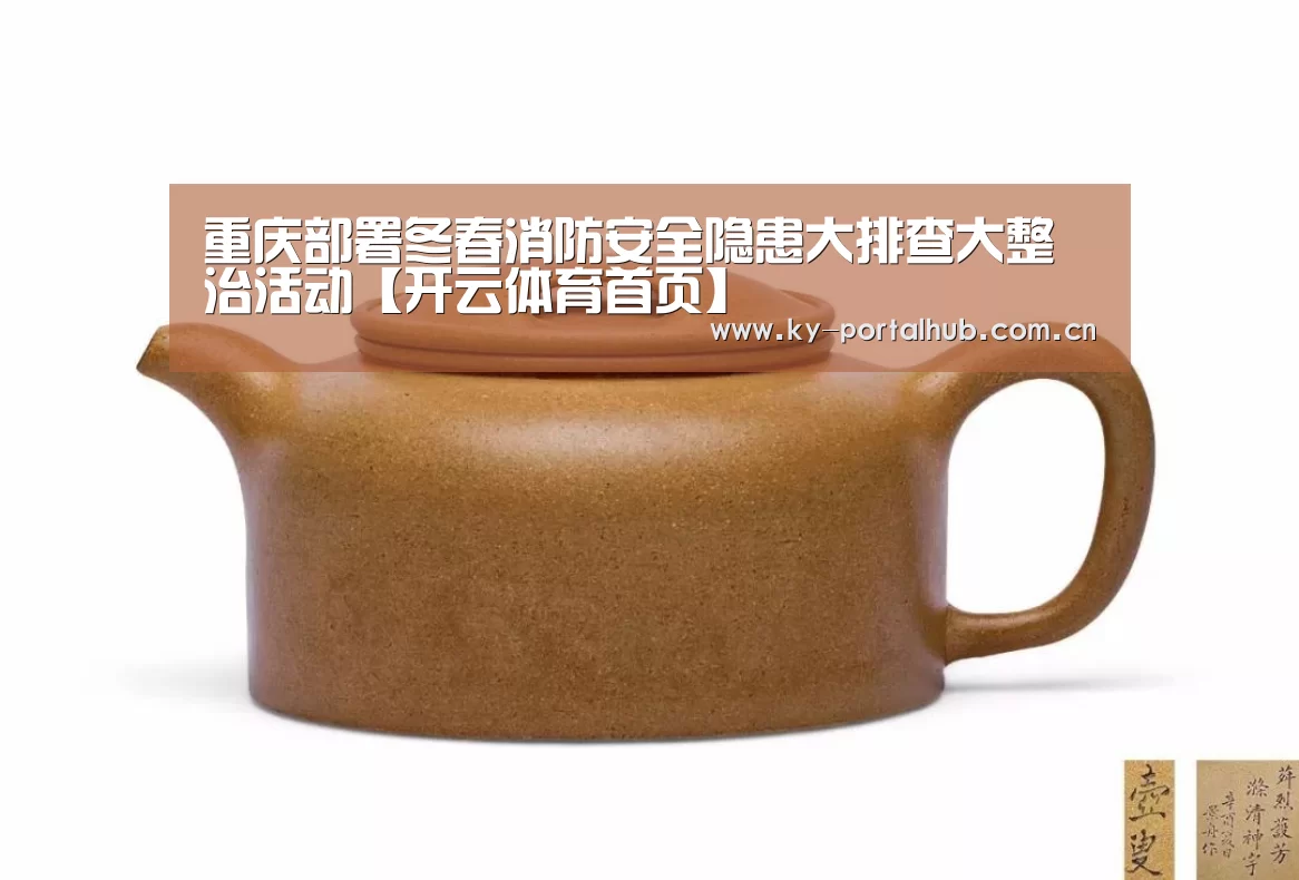 重庆部署冬春消防安全隐患大排查大整治活动【开云体育首页】(图2) 开云体育首页