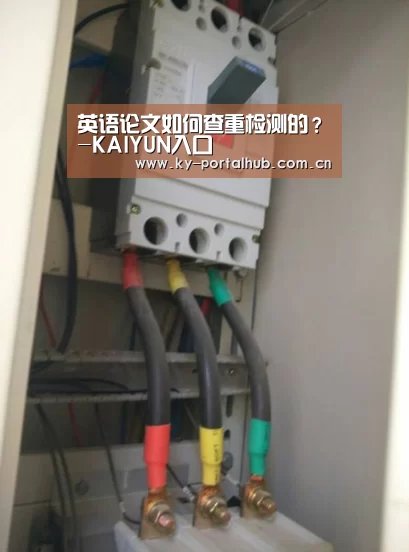 开云体育首页