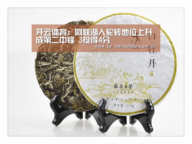 KAIYUN入口
