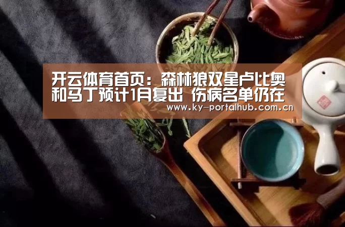 KAIYUN入口