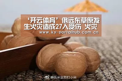 ‘开云体育’俄远东草原发生火灾造成27人受伤 火灾或由人为烧荒引起(图1) KAIYUN入口