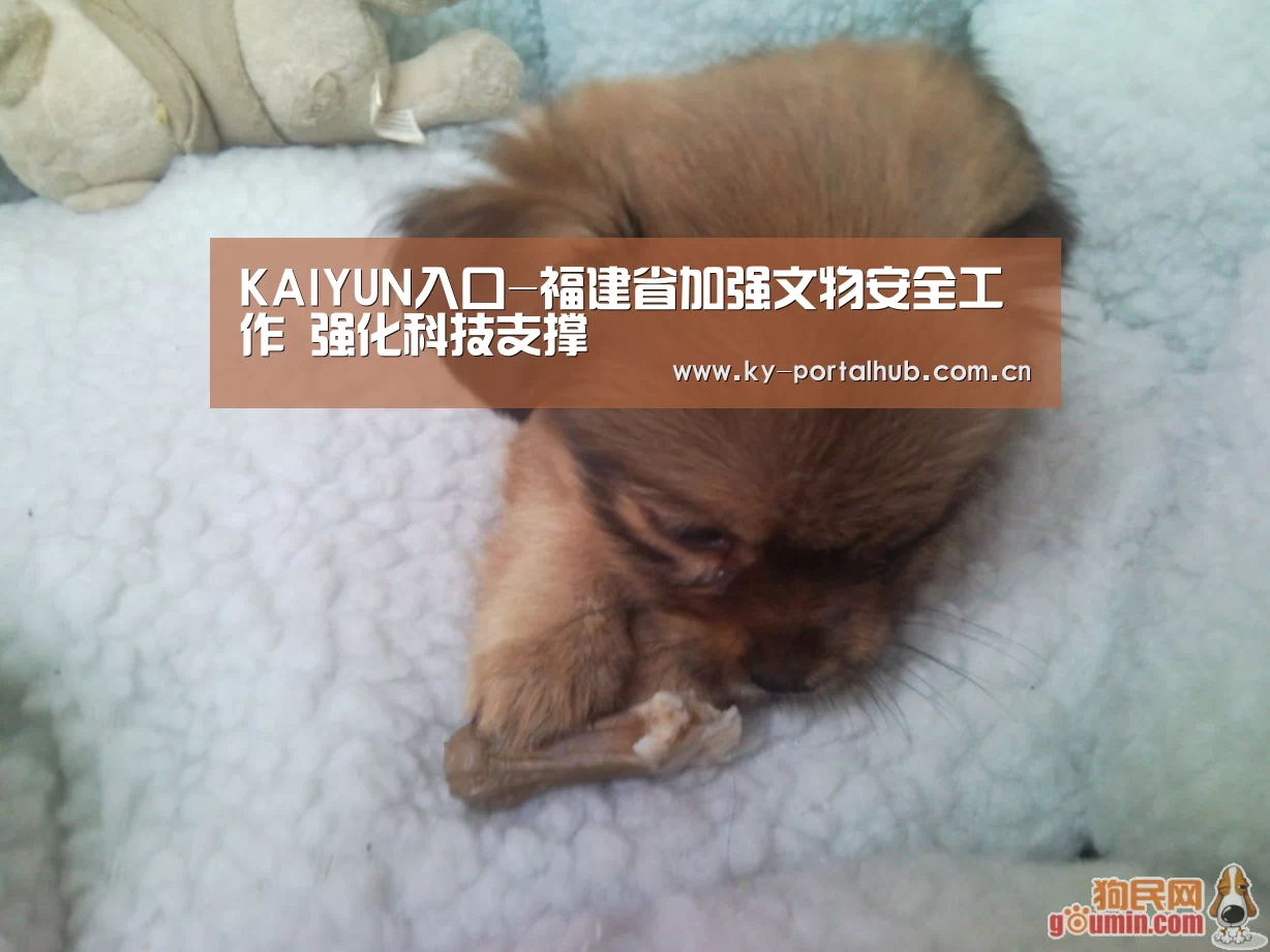 KAIYUN入口-福建省加强文物安全工作 强化科技支撑(图1) 开云体育首页