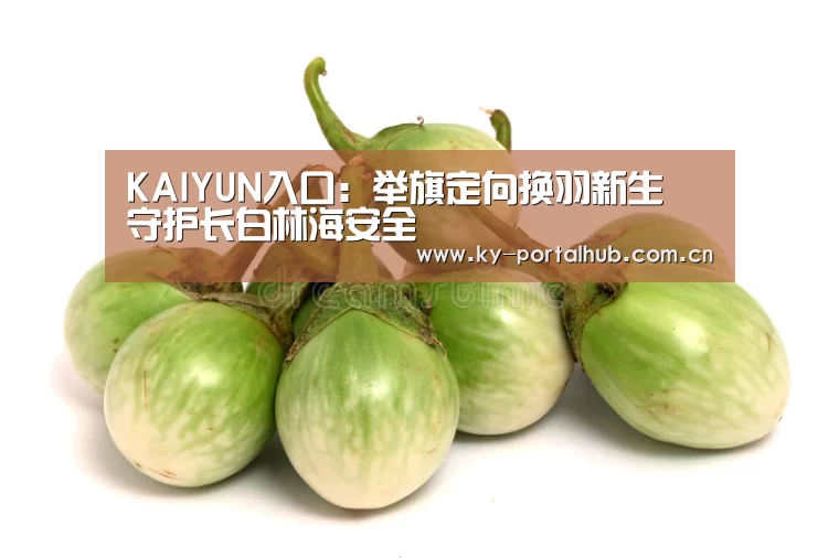 KAIYUN入口