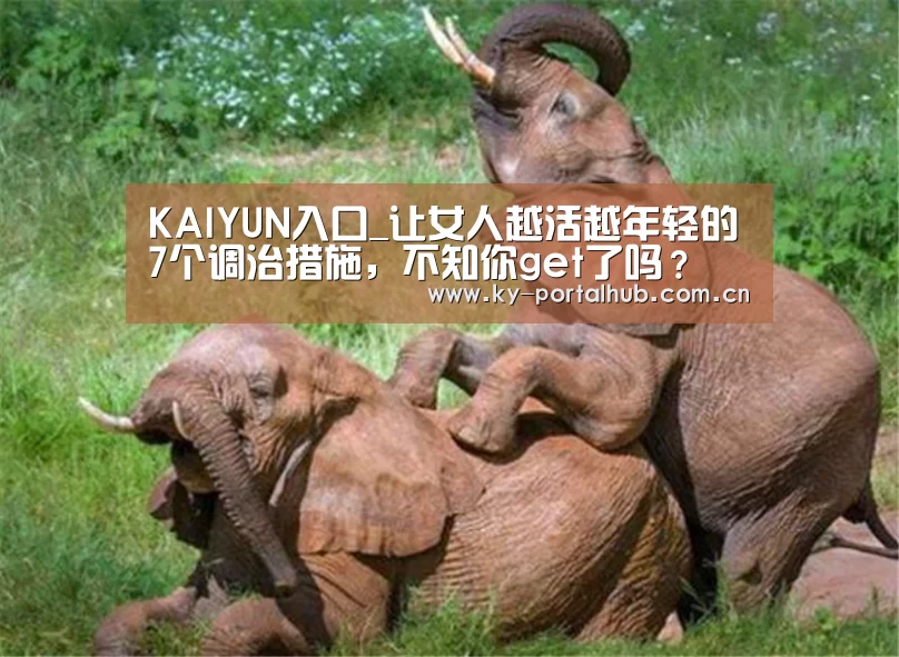 KAIYUN入口