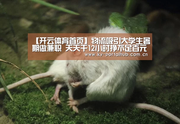 【开云体育首页】物流吸引大学生暑期做兼职 天天干12小时挣不足百元手机还上交(图3) 开云体育
