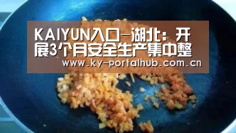 KAIYUN入口-湖北:开展3个月安全生产集中整治(图2) 开云体育