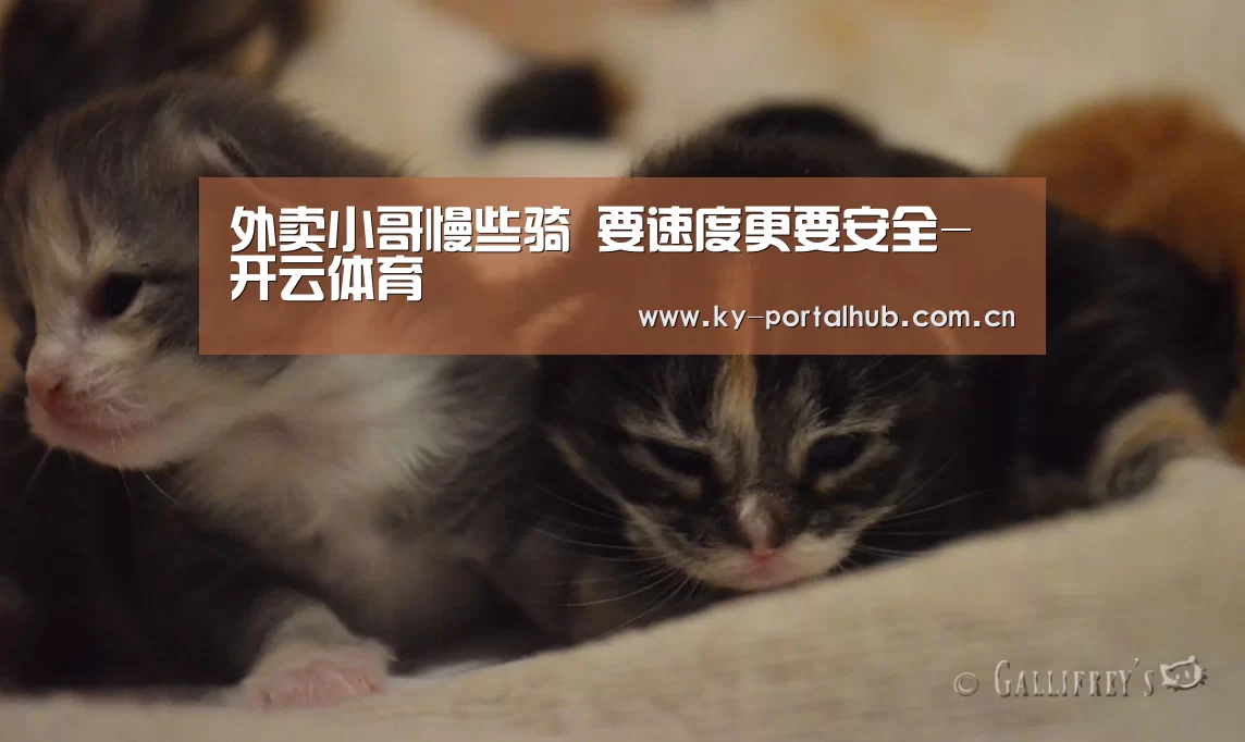 开云体育首页